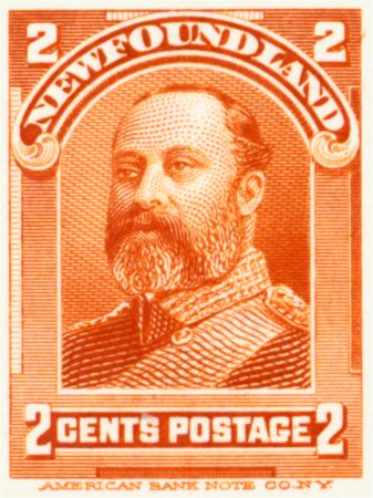 portraits02cb orange